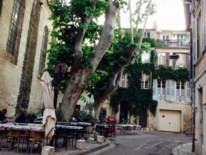 Taking Topdeck | Avignon