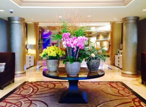 San Luis Resort Review